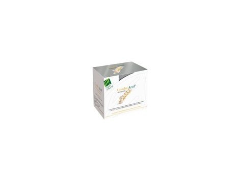 CondroArtil Caja con 90 comprimidos. 100% Natural. CondroArtil Caja con 90 comprimidos. 100% Natural.