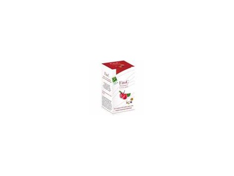 100% Natural Fito C (vitamin C) 90 capsules 100% Natural Fito C (vitamin C) 90 capsules