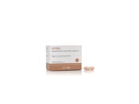 Sesderma Vitises Sesvalia 60 capsules - SeSDERMA Sesderma Vitises Sesvalia 60 capsules - SeSDERMA