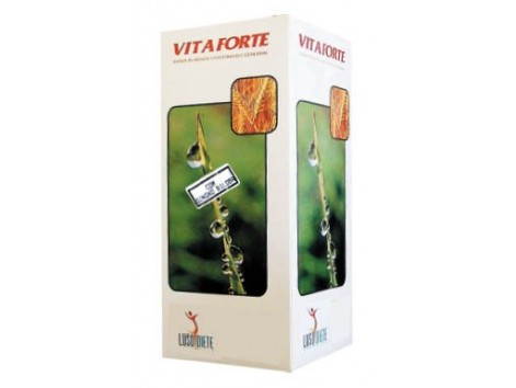 Ginkgo Lusodiete Vitaforte + 250ml. Nutrinat Ginkgo Lusodiete Vitaforte + 250ml. Nutrinat
