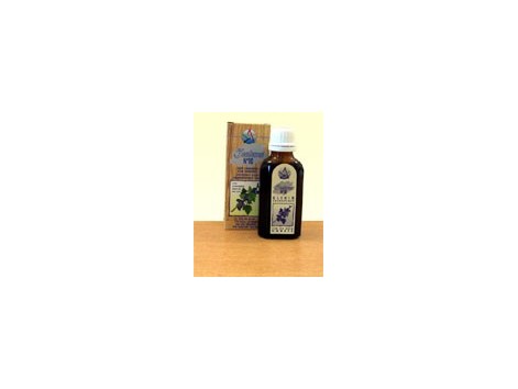 Elixir No 10 kidney yin (grosellero black) (relaxes and removes) Elixir No 10 kidney yin (grosellero black) (relaxes and removes)