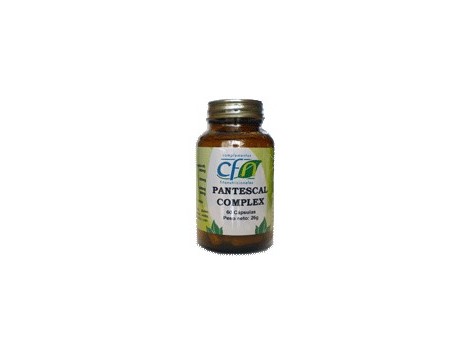 CFN Pantescal complex 60 capsules. CFN Pantescal complex 60 capsules.