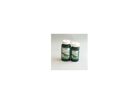 Madal Bal Aloe Vera Double Strength 30 capsules. Madal Bal Aloe Vera Double Strength 30 capsules.