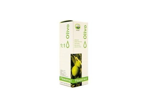 Eladiet Fitoextract Concentrate Olivo 50ml. Eladiet Fitoextract Concentrate Olivo 50ml.