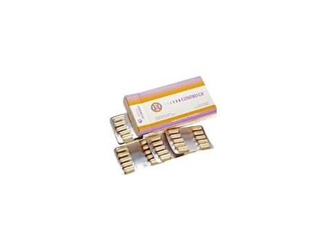 Simildiet Condro-Ca (Cartilage, Beta-carotene, vitamins) 60 caps Simildiet Condro-Ca (Cartilage, Beta-carotene, vitamins) 60 caps