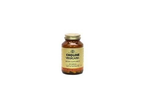 Solgar Choline 350mg. 100 capsules