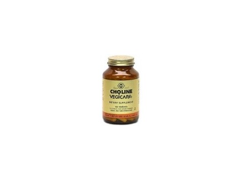 Solgar Choline 350mg. 100 kapseln