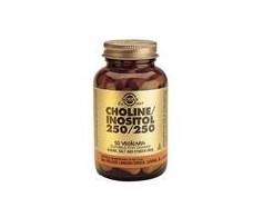 Solgar Choline-Inositol 250/250 mg. 50 Kapseln