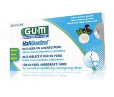 Gum Halicontrol 10 tabletas.