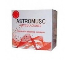 Astromusc articulaciones 21 sticks.