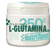 Nutrisport Glutamina em pó 250g