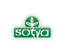 Boldo Sotya 500mg 100 tablets