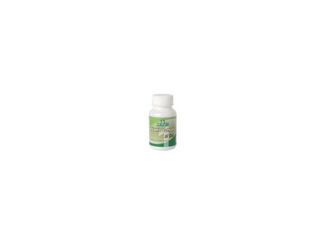 Sotya Vitamin Complex 60 capsules