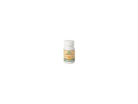 Dandelion Sotya 100 Tabletten