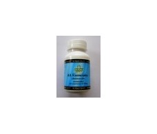 Essential amino acids Sotya 500mg 100 tablets