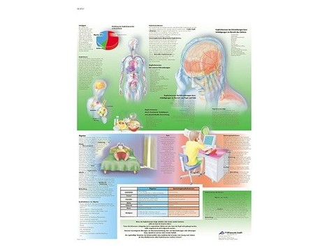 Print 3B Rehab Headaches Print 3B Rehab Headaches