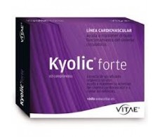 Vitae Kyolic Forte (1000mg) 60 tablets
