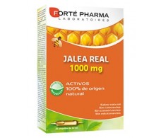 Forté Pharma Geléia Real 1000mg 20 frascos