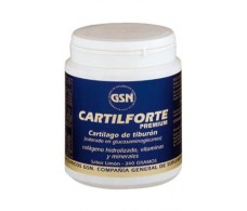 Chocolate 340g premium Cartilforte GSN