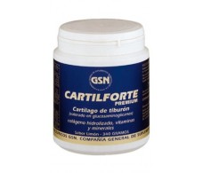 GSN Cartilforte Premium 340g chocolate