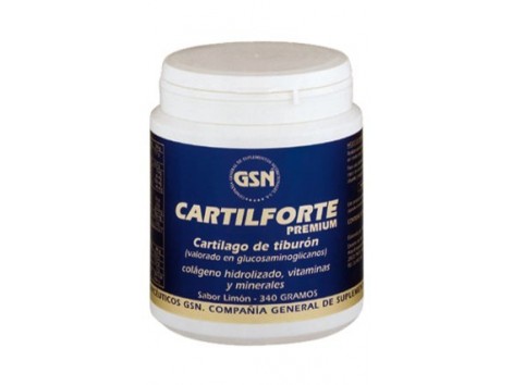 GSN Cartilforte Premium 340g chocolate