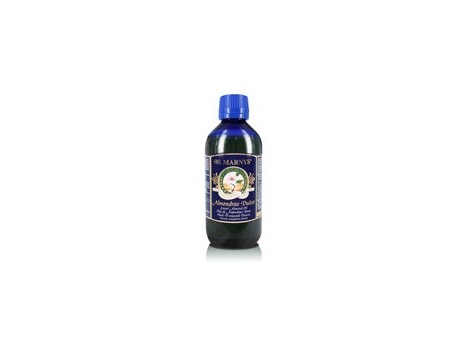 Marny's Sweet Almond Massage Oil 100ml