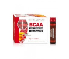 Marny die BCAA Glutamin 20 Ampullen