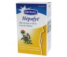 Bional Hepafyt 40 capsules