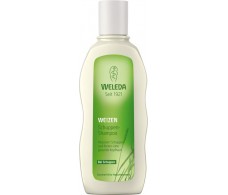 Balancing Shampoo with Wheat Weleda 190ml