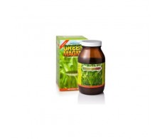 The Barn Green Magma powder 150g bio