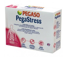 Pegaso PegaStress 14 envelopes