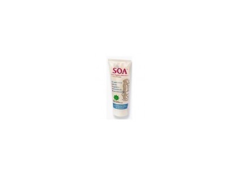 Soa Silicio gel antidolor 100ml