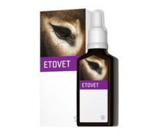 Concentration Etovet EneryVet 30ml