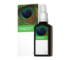 EneryVet Kingvet Movimiento 30ml