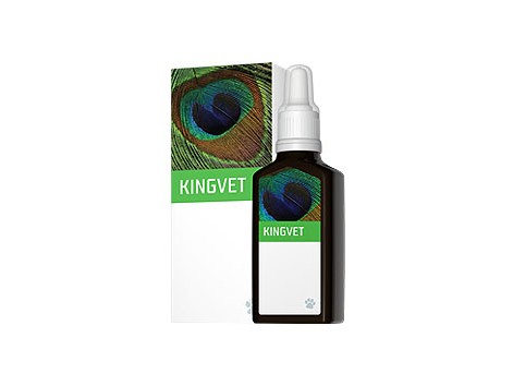 EneryVet Kingvet Movimento 30ml EneryVet Kingvet Movimento 30ml