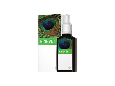 EneryVet Kingvet Movimento 30ml