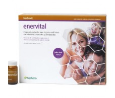 Herbora Enervital Royal Jelly 20 ampoules 