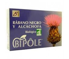 Bipole INTERSA alcachofra e preto Rabanete 20 ampolas 