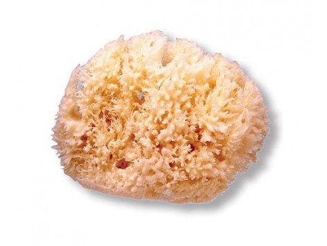 Large natural sponge. Suavinex