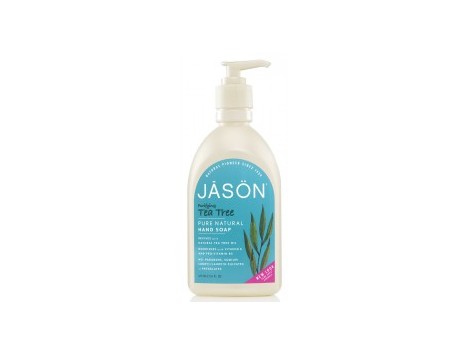 Jason Satin Soap Hand Soap Tea Tree 480ml