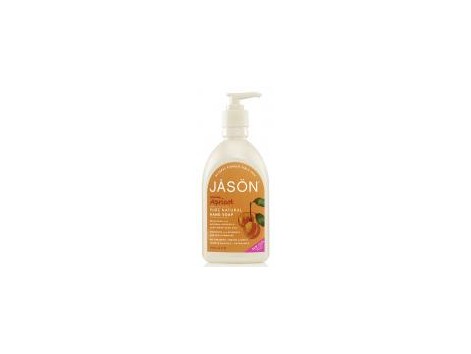 Jason Apricot Hände und Face Gel 473 ml