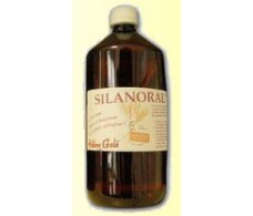 Silanoral 1 Litre