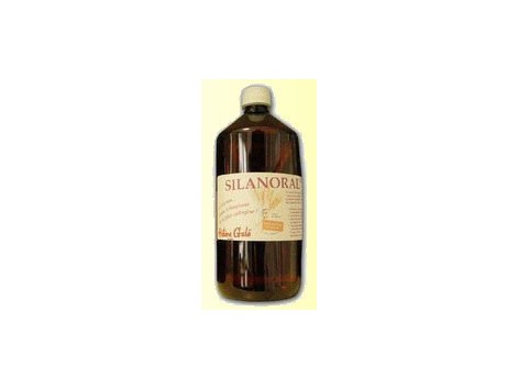 Silanoral 1 Litre