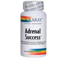 Solaray Adrenal Success 60 capsulas 