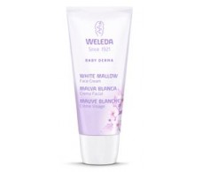 Weleda Baby Face Creme mit Derma Malva Weiß 50 ml.