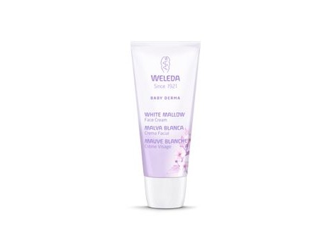 Weleda Baby Face Creme mit Derma Malva Weiß 50 ml.