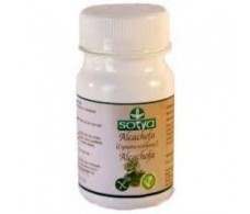 Artichoke Sotya 100 tablets.