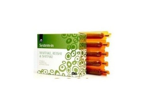 System-In Maitake reishi Shiitake 20 ampollas de 10ml.