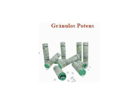 Granulate Praxis Potens 4 Gramm. (Hat homöopathische)