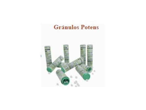 Granules Praxis Potens 4 grams. (has homeopathic)